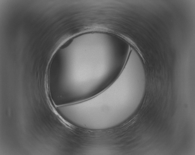 X0000054421391200507290914