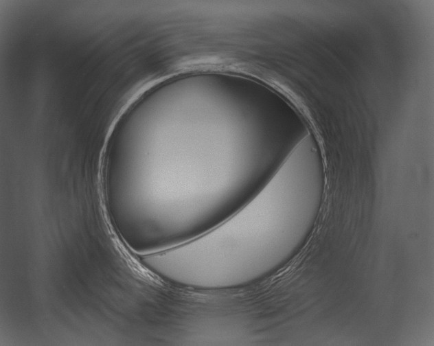 X0000054421392200507290914