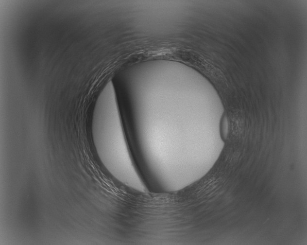 X0000054421393200507290914
