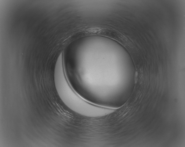 X0000054421394200507290914