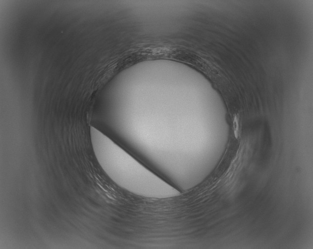 X0000054421395200507290914