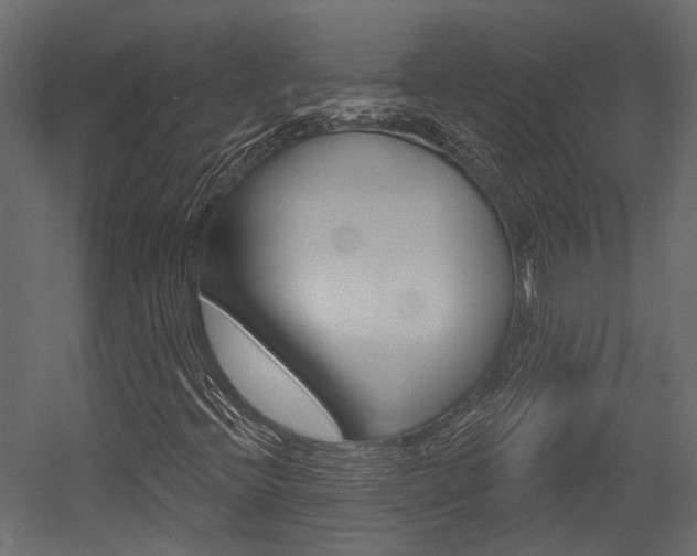 X0000054421396200507290914