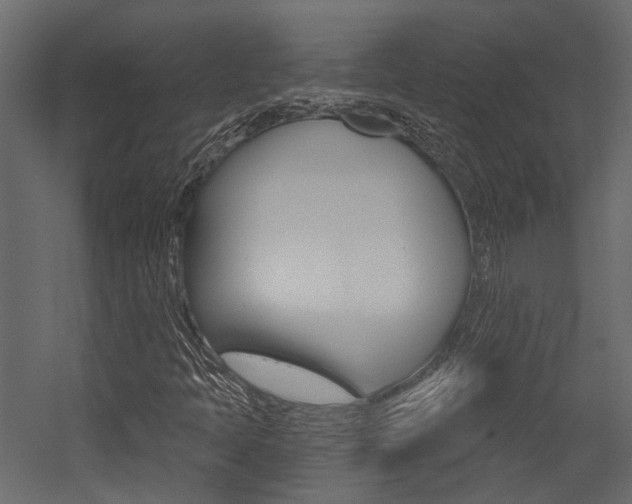 X0000054421397200507290914