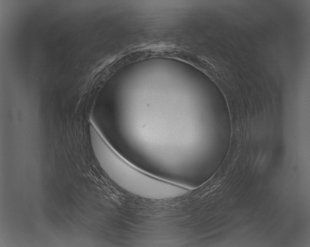 X0000054421398200507290914