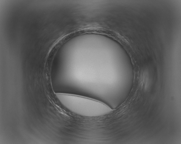 X0000054421400200507290914
