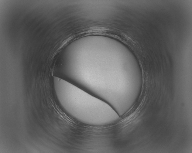 X0000054421401200507290914