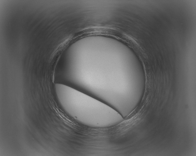 X0000054421403200507290914