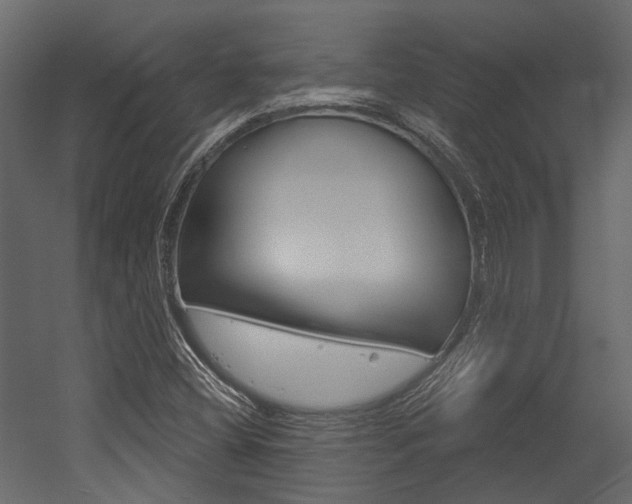 X0000054421404200507290914