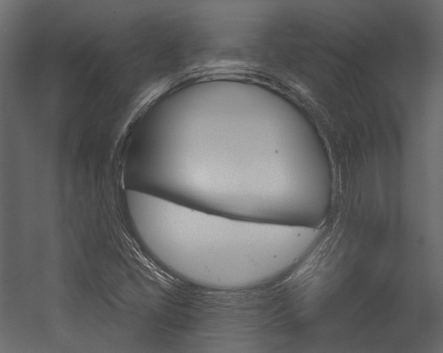 X0000054421405200507290914