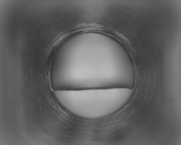 X0000054421407200507290914