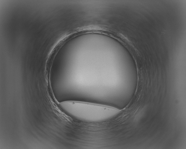 X0000054421408200507290914