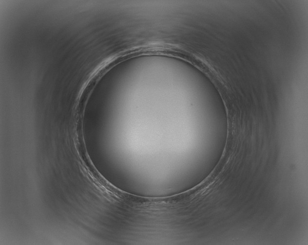 X0000054421410200507290914