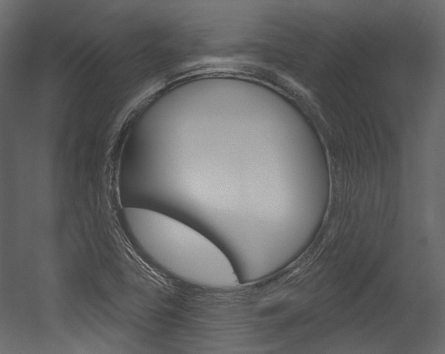X0000054421411200507290914