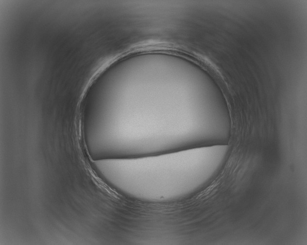 X0000054421413200507290914