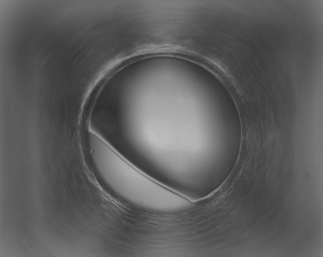 X0000054421414200507290914
