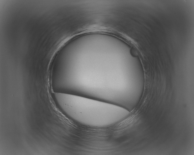 X0000054421415200507290914
