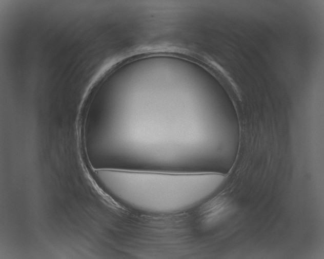 X0000054421416200507290914