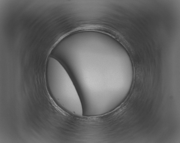 X0000054421417200507290914