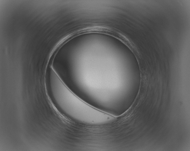 X0000054421418200507290914