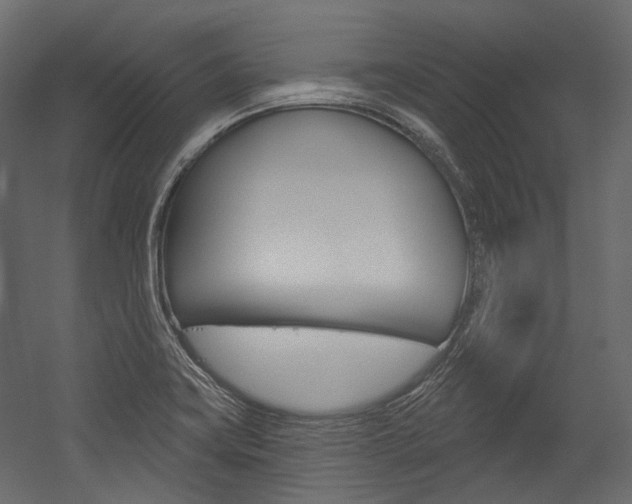 X0000054421419200507290914