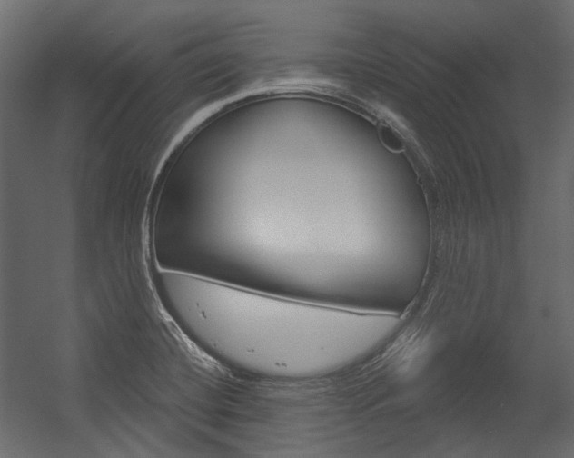 X0000054421420200507290914