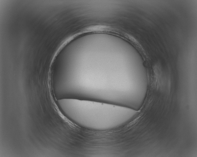 X0000054421421200507290914
