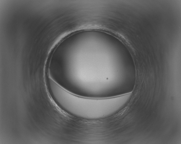 X0000054421422200507290914