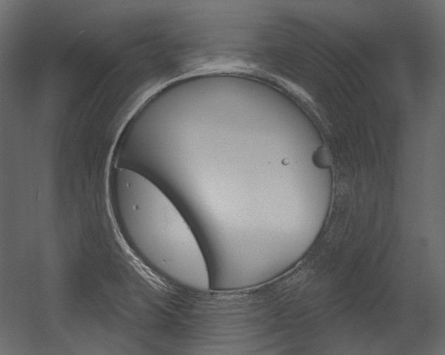 X0000054421423200507290914