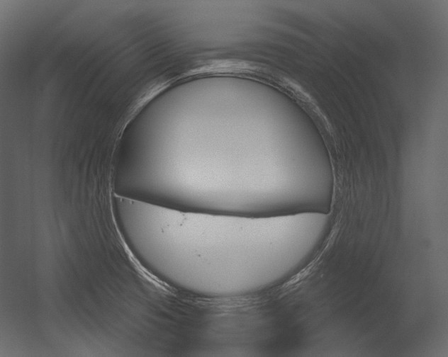 X0000054421425200507290914