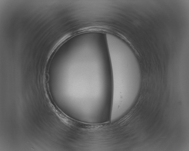 X0000054421426200507290914