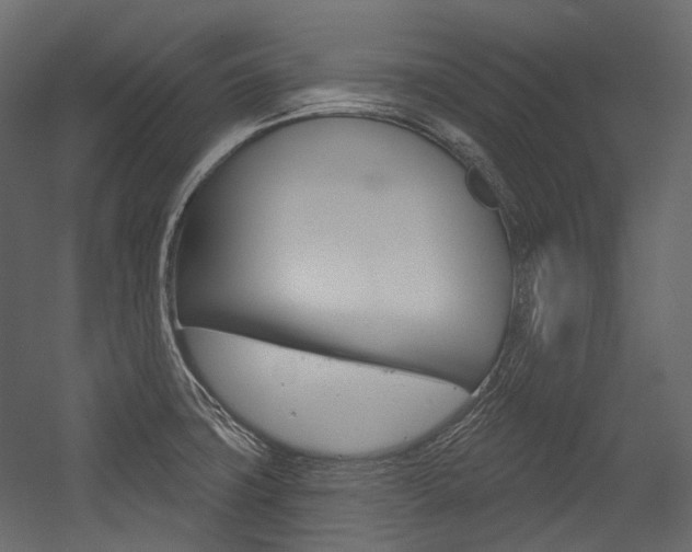 X0000054421427200507290914