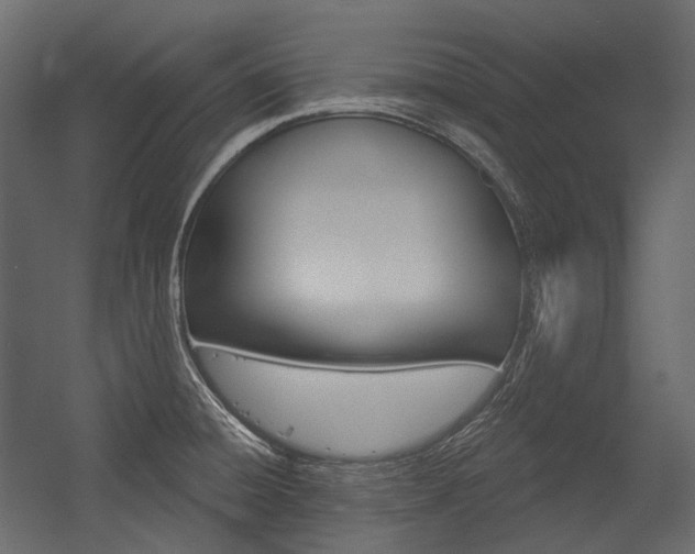 X0000054421428200507290914