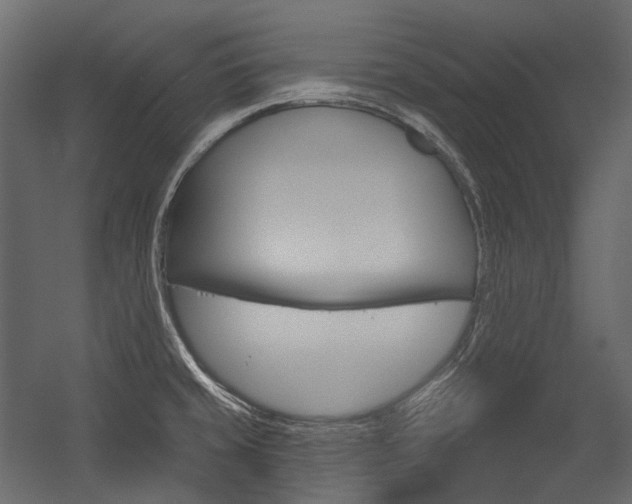 X0000054421429200507290914