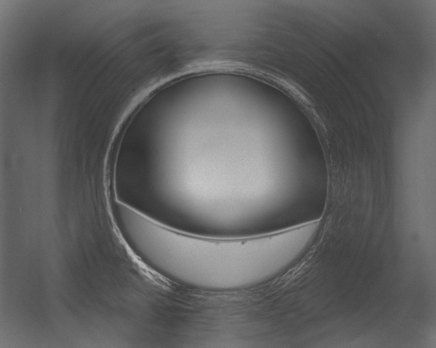 X0000054421430200507290914