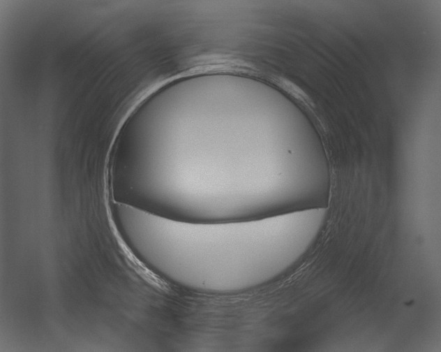 X0000054421431200507290914