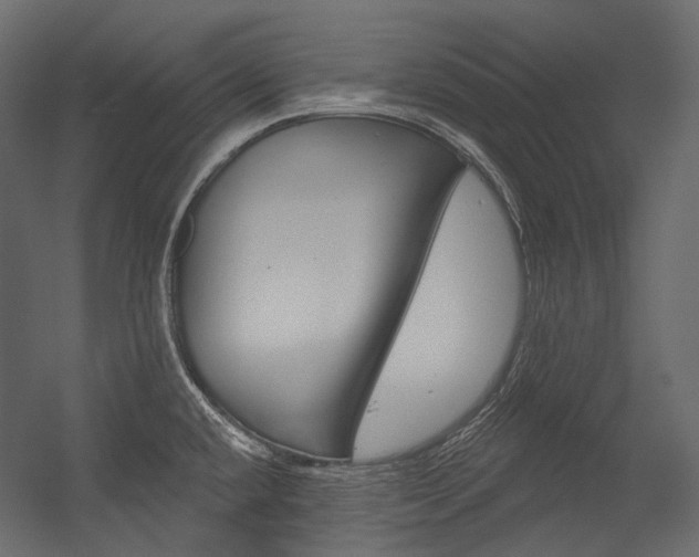 X0000054421432200507290914
