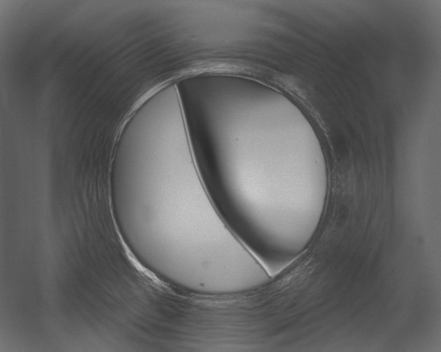 X0000054421433200507290914