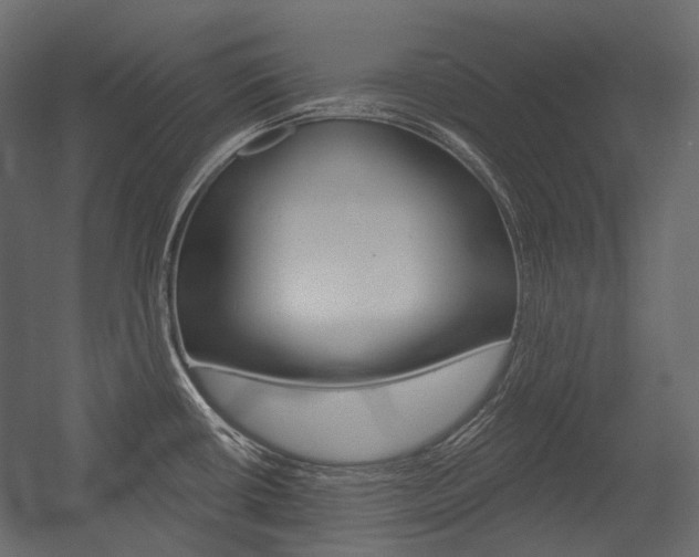 X0000054421434200507290914