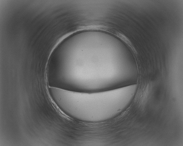 X0000054421436200507290914