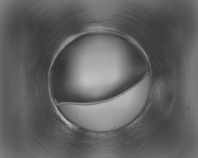 X0000054421437200507290914
