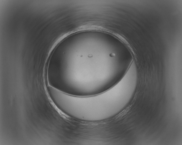 X0000054421438200507290914
