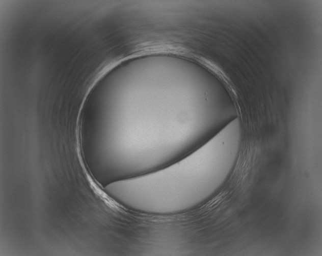 X0000054421439200507290914