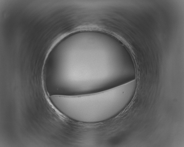 X0000054421440200507290914