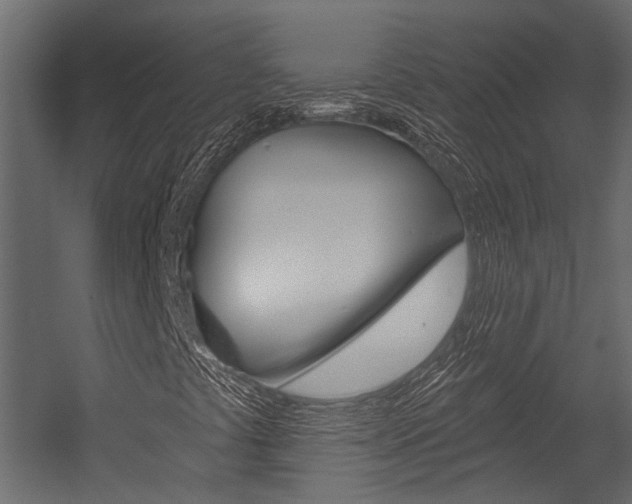 X0000054421441200507290913
