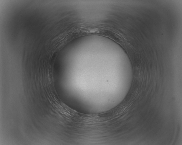 X0000054421442200507290913