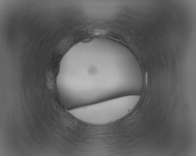 X0000054421443200507290913