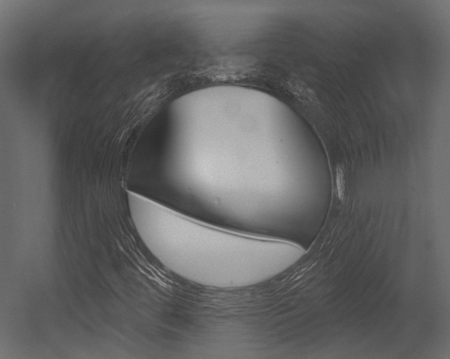 X0000054421444200507290913