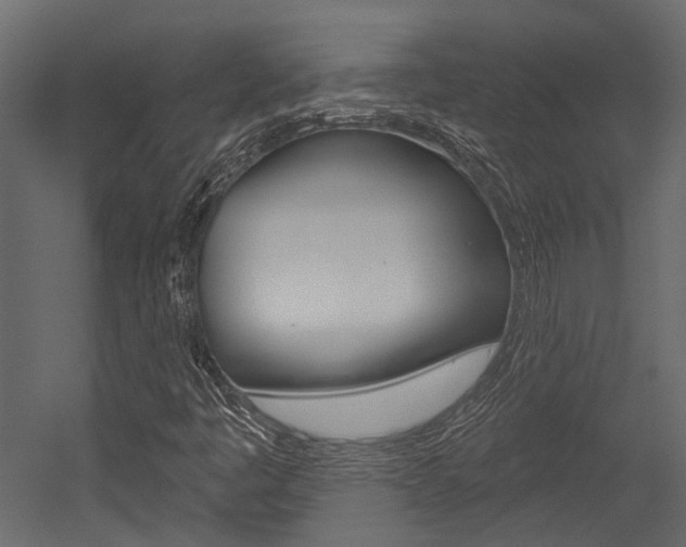 X0000054421445200507290913