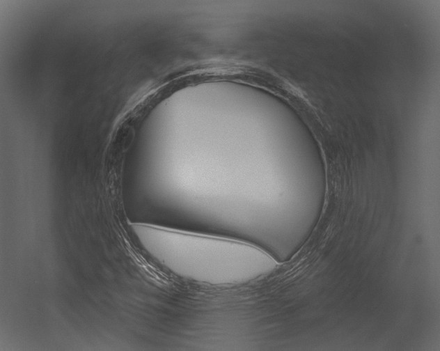 X0000054421448200507290913