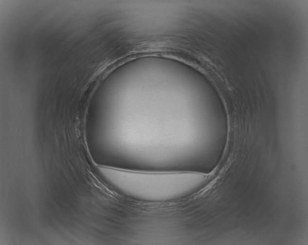X0000054421449200507290913